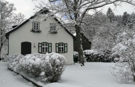 Verschneites Haus mit grünen Fensterläden und Bäumen im Hintergrund.