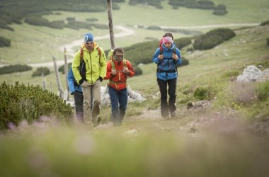 Wandern, © Wiener Alpen/Martin Fülöp