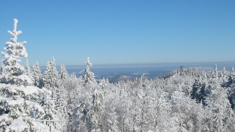 Verschneite Landschaft im Naturpark Hohe Wand mit Tannenb&auml;umen und klarem Himmel.