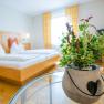 Ein Doppelzimmer mit einem Bett im Hintergrund und einer Pflanze in einem Topf im Vordergrund.