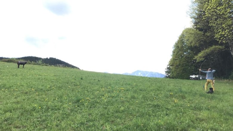 Person schie&szlig;t mit einem Bogen auf ein Ziel auf einer Wiese.