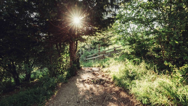 Naturpark Hohe Wand, © Naturpark Hohe Wand/Fraller