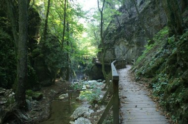 Johannesbachklamm Würflach, © Gemeinde Würflach