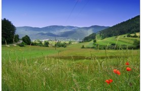 Grüne Wiesen mit roten Mohnblumen und Hügeln im Hintergrund unter blauem Himmel.
