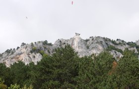 Blick auf einen Skywalk auf einem felsigen Berg mit Bäumen im Vordergrund.
