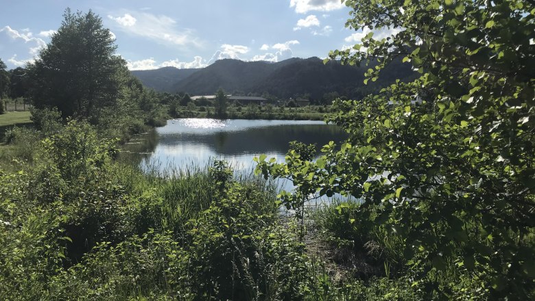 Ein kleiner See umgeben von B&auml;umen und Bergen im Hintergrund bei sonnigem Wetter.
